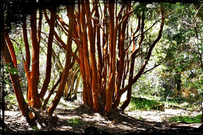 10 Secrets of Bariloche, Nahuel Huapi, and Patagonia - Puerto San Carlos and the Nahuel Huapi waterfront