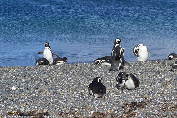 15D-Patagonia Adventure Experience (Guaranteed group departures) - Days 8 to 11: Crossing into Chile and the Torres del Paine section