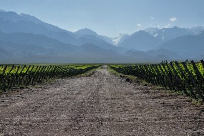 3-Day Mendoza Enchanted Vine Retreat With Optional Airfare