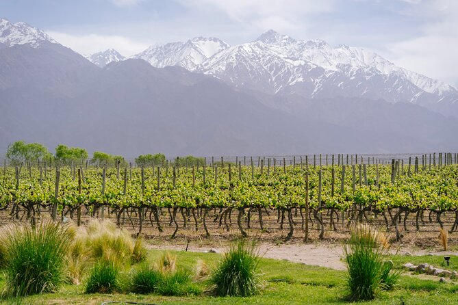 3-Day Mendoza Enchanted Vine Retreat With Optional Airfare - Group Size, Timing, and Booking Rules