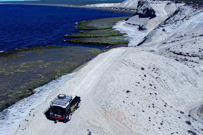 3 hour 4x4 tour around Puerto Madryn - Punta Este, where the ride gets rough