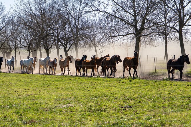 4-Day Buenos Aires Discovery - San Antonio de Areco and the pampas