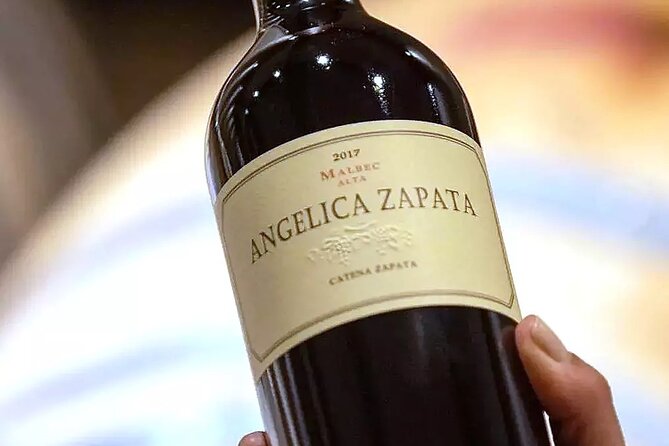 4 Hour Private Argentine Cooking Lessons and Wine Testing - Four wines, four different Argentine regions and styles