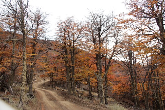 4x4 en el Cerro Frias - The meal question: scenery first, food second