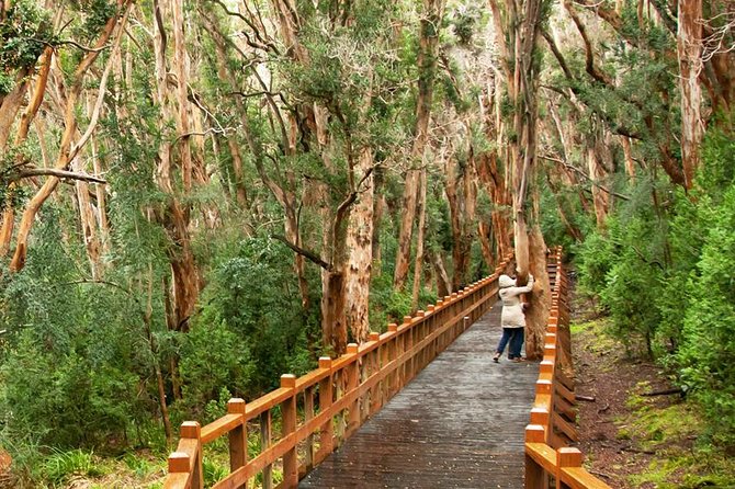 5-Day Adventure Trip in Bariloche - Key points at a glance