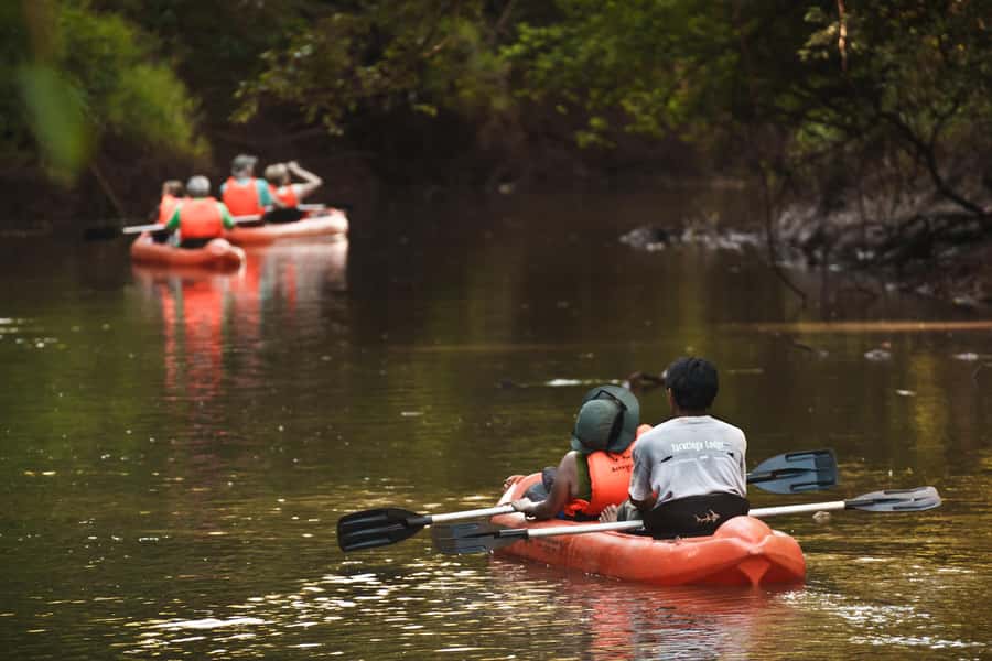 5-Day Iguazu Falls: Jungle Lodge & Airfare from Buenos Aires - Days three through five: the road to Yacutinga Lodge