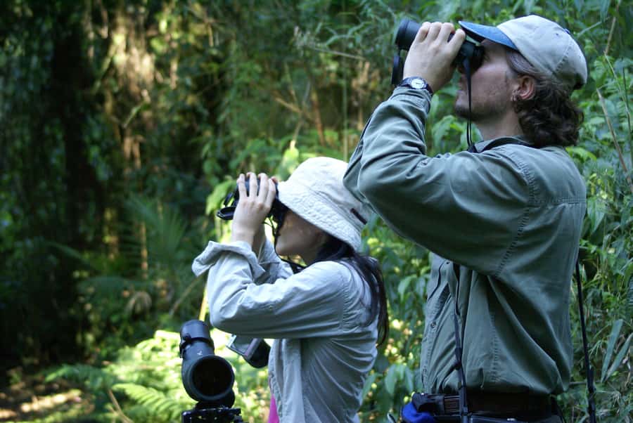 5-Day Iguazu Falls: Jungle Lodge & Airfare from Buenos Aires - Days one and two: seeing Iguazu from both sides