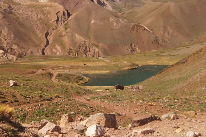 Aconcagua short hike & Argentine BBQ – Full Day from Mendoza - Key points to know before booking