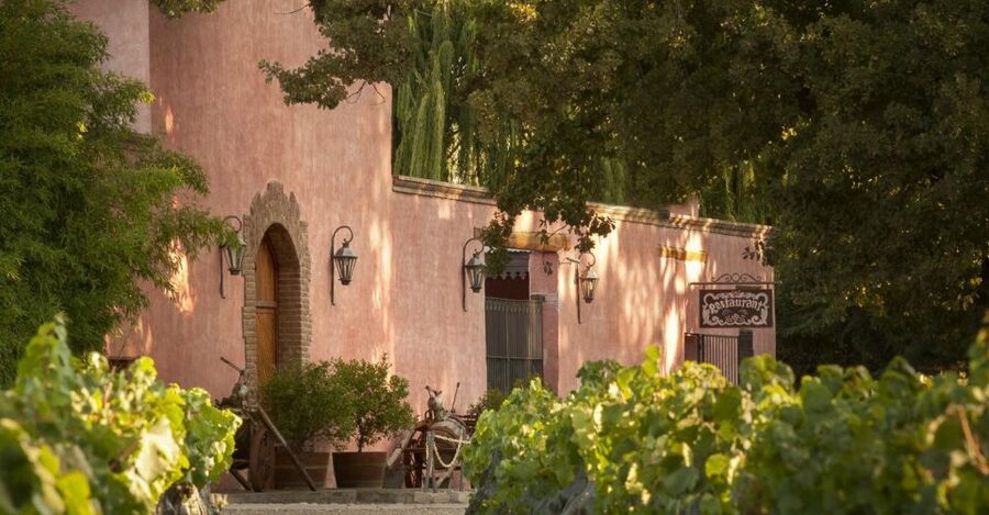Adventure & Flavor: Breakfast, Rafting & Asado in Mendoza - Booking Flexibility and Languages