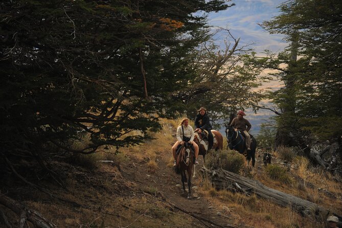 Adventure Horseback Riding on Cerro Frias - Is the ride suitable for beginners and children?