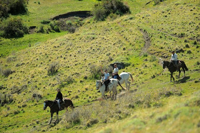 Adventure Horseback Riding on Cerro Frias - How much value do you get for $150?