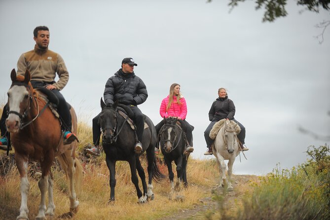 Adventure Horseback Riding on Cerro Frias - Guides, horses, and the feel of the outing