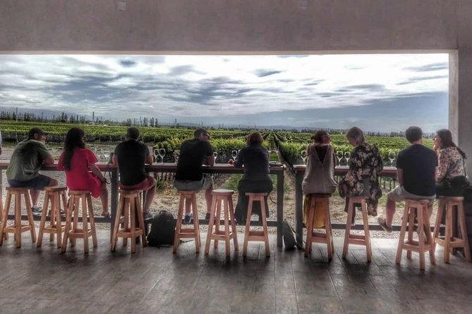 All Day, Small Group, Luxury Wine Tour with Gourmet Lunch - The day in four useful points