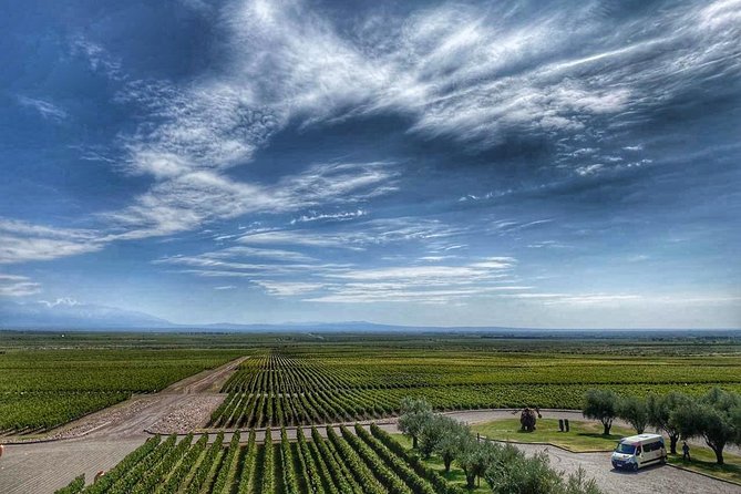 All Day, Small Group, Luxury Wine Tour with Gourmet Lunch - Why this Mendoza wine tour costs $240