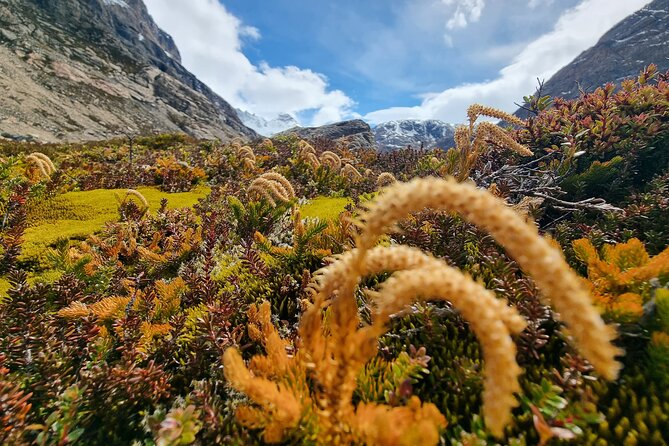 Alpine Adventure in Pollone Lagoon and Lake Electric Valley - What the private format is worth at $342.47