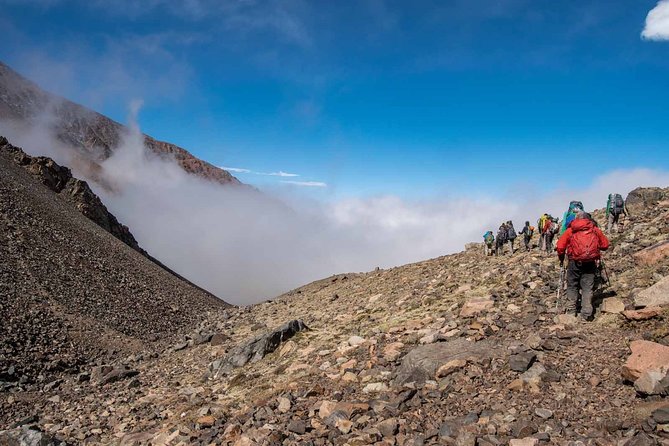 Andes Day Hiking Tour Experience - Wildlife, streams, and the high mountain setting