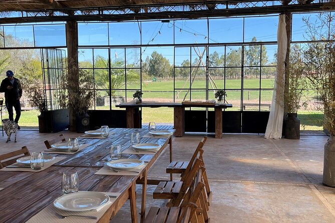 Argentina Polo Experience by La Guapeada Polo - Pool Time and the Pace of Country Life