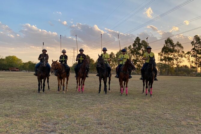 Argentina Polo Experience by La Guapeada Polo - Joining the Polo Match Around 3:30pm