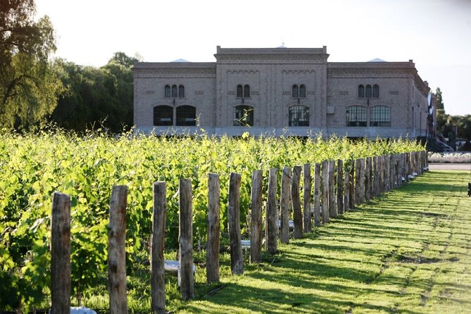 Argentine BBQ Experience and Winery Visits.Transfer included - The winery route, from Antigal to Finca Terrada