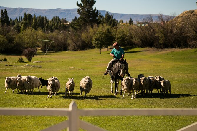 Argentine Dinner with Live Music Folklore -Estancia 25 de Mayo - Who will enjoy this Argentine dinner?