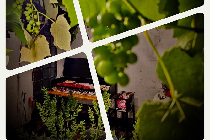 Asado and Malbec Grilling Activity - Key things to know before booking