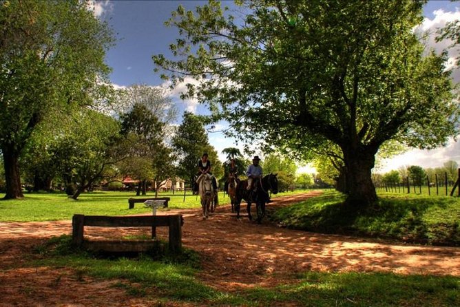 Authentic Farm Day in an Argentine Countryside Estancia - Leaving Buenos Aires for the open pampas