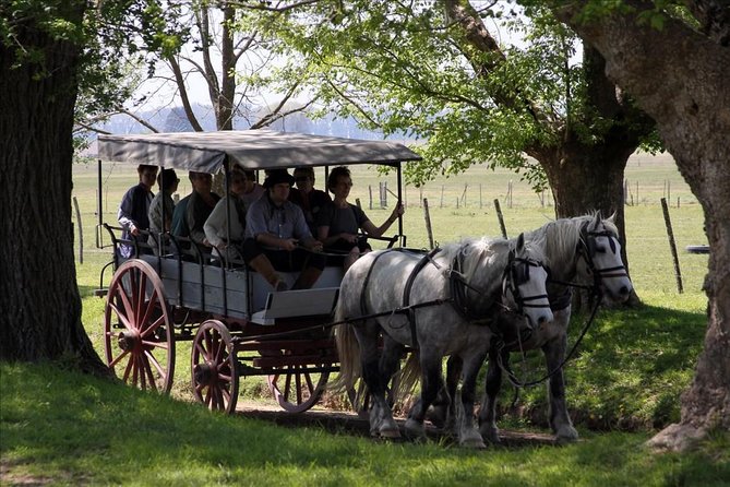 Authentic Farm Day in an Argentine Countryside Estancia - San Antonio de Areco and its working crafts