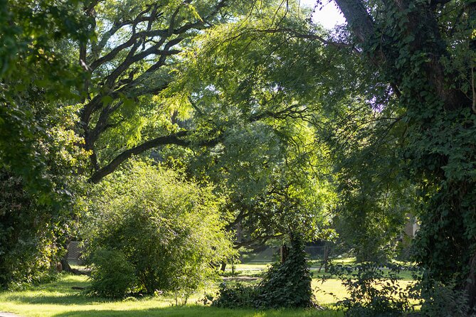B.A Hidden Wonders Tour Parque Chas and Agronomía Park - Key points at a glance