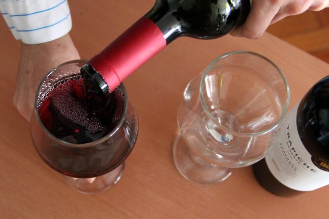 BA: Premium Argentinian Wines and Malbec Tasting in Palermo - What this Palermo wine tasting is really like