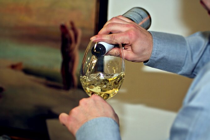 BA: Premium Argentinian Wines and Malbec Tasting in Palermo - An apartment setting in Palermo