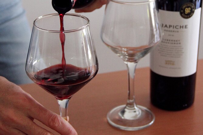 BA: Premium Argentinian Wines and Malbec Tasting in Palermo - The three wines: Malbec, Torrontés, and Pinot Noir