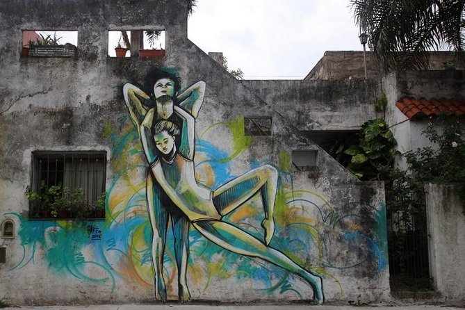 BA Street Art Walking Tour - Small Shared Group - Palermo brings art into the café district