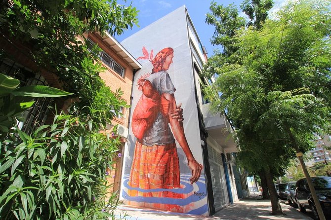 BA Street Art Walking Tour - Small Shared Group - Starting in Palermo Hollywood at 2 p.m.