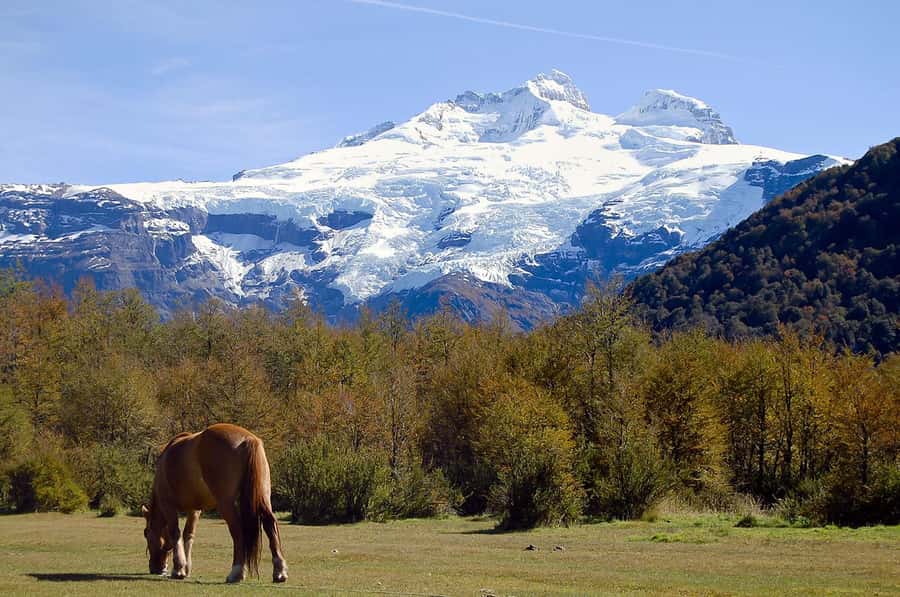 Bariloche: Cerro Tronador and Ventisquero Negro Glacier Tour - Key points to know before you book