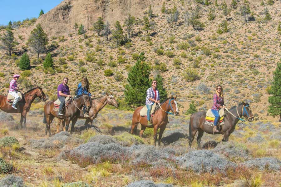 Bariloche: Guided horseback rides in the Patagonian steppe - What makes this Patagonian ride worth considering