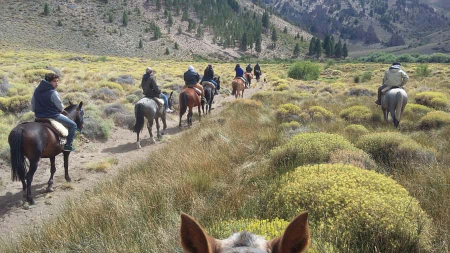 Bariloche: Guided horseback rides in the Patagonian steppe - From Bariloche to La Fragua in 45 minutes