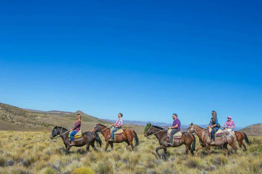 Bariloche: Guided horseback rides in the Patagonian steppe - Two hours in the saddle across uneven ground