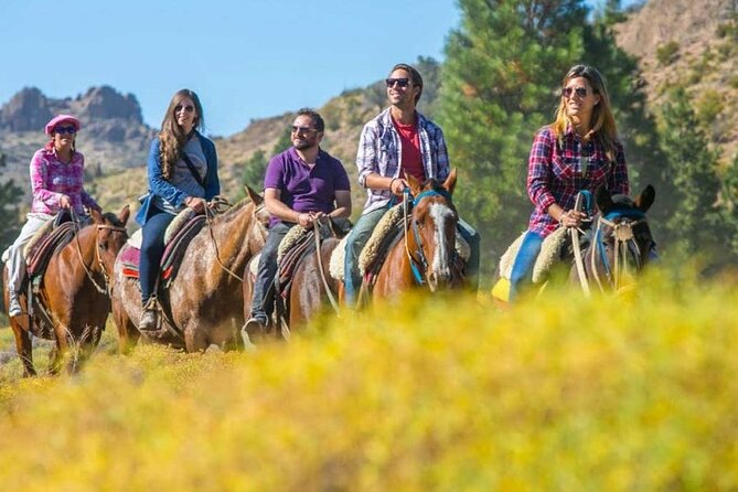 Bariloche Horseback Riding in the Patagonian Steppe with Argentine Roast - Argentine roast after the ride