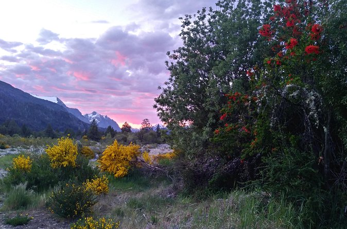Bariloche's Mountain Echoes (Full/Half hiking day) - Viewpoints, summit rewards, and hot coffee