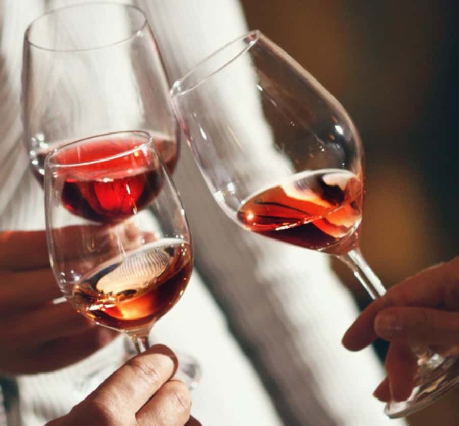 Bariloche: Wine Tasting Winehouse Experience - Why this Bariloche wine evening works