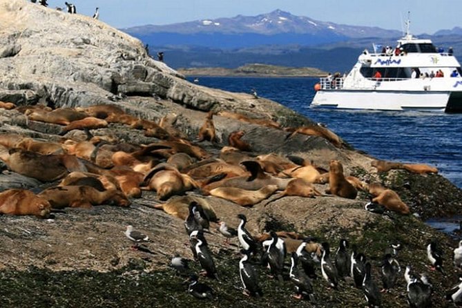 Beagle Channel Navigation - Sea Lions Island - Setting out from Ushuaia Bay
