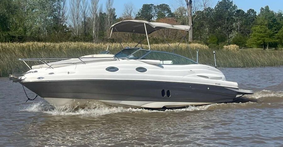 Best of Delta Buenos Aires Private Boat Tour: Enjoy More - The captains and the tone of the outing