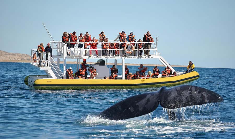 Best Tour to Peninsula Valdes - From Puerto Madryn into the Patagonian steppe