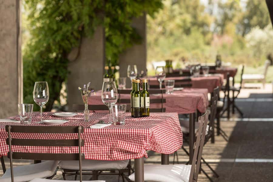 Bike Tour at Zuccardi: Olive Oil, Wine Tasting & Lunch - Inside the Zuelo olive oil factory