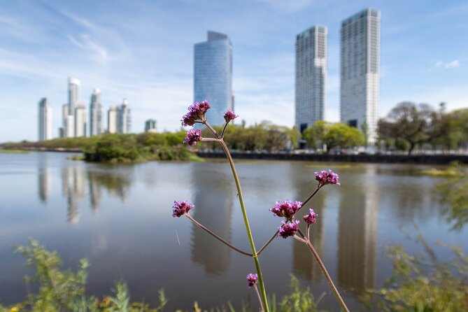 Bird watching and nature in Costanera Sur Ecological Reserve - Why Costanera Sur is worth your morning