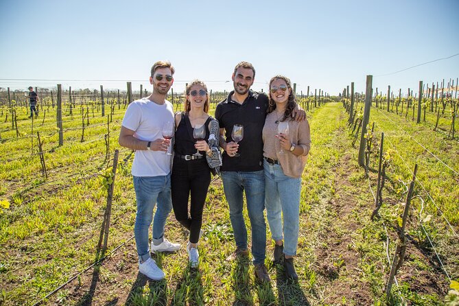 Bodega Gamboa Premium Wine Tasting with Lunch - Key Points Before You Book