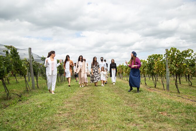 Bodega Gamboa Premium Wine Tasting with Lunch - Who Should Book This Wine Day?