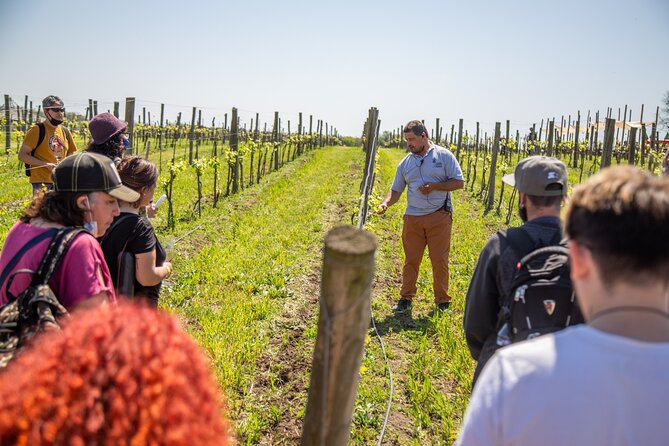 Bodega Gamboa Premium Wine Tasting with Lunch - The Morning Ride to the Vineyard