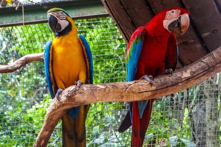 Brazilian and Argentina Falls with Great Adventure on boats - Key points to know before booking