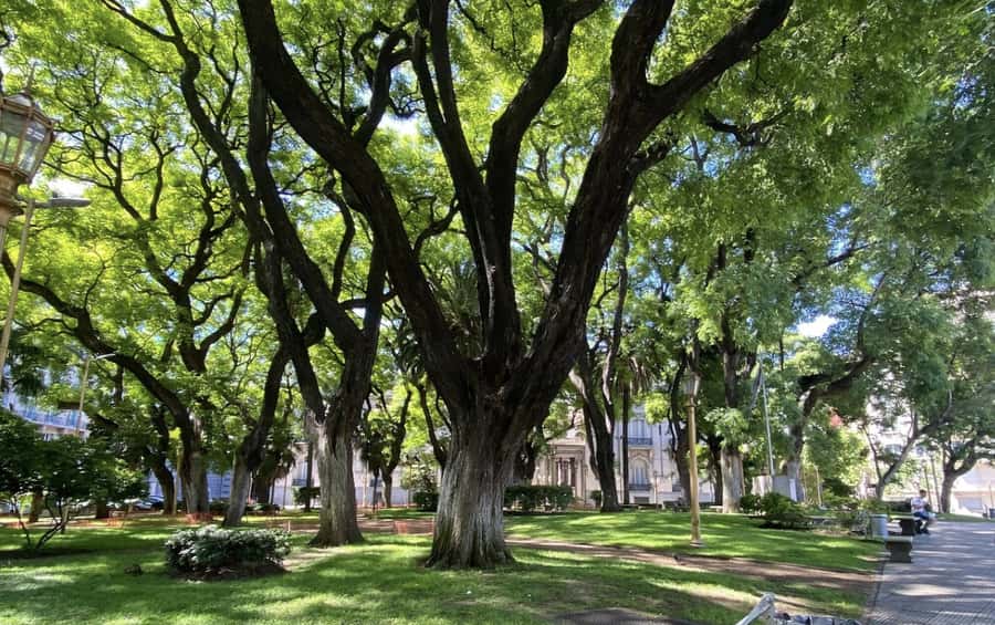 Buenos Aires: 7 Hour Small Group "BA 101" Walk - Should you book the BA 101 walk?